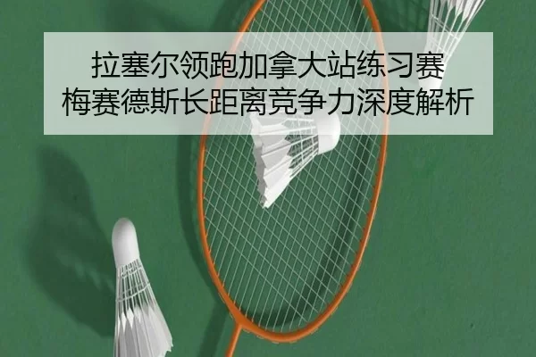 la-sai-er-ling-pao-jia-na-da-zhan-lian-xi-sai-mei-sai-de-si-zhang-ju-li-jing-zheng-li-shen-du-jie-xi-2-563.jpg